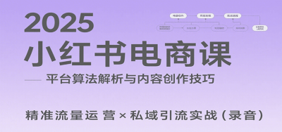 2025小红书电商课：解析算法，创作高转化内容，助力卖家获取流量实现变现(录音)
