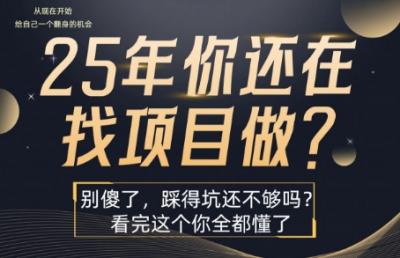 25年,你还在疯狂的找项目吗?别傻了,看完这个你都懂了【揭秘】