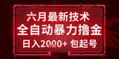 六月最新技术全自动暴力撸金,稳定日入2k+包起号,长期稳定【揭秘】