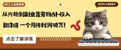从兴趣到副业靠宠物占卜收入翻3倍一个月纯利润破W