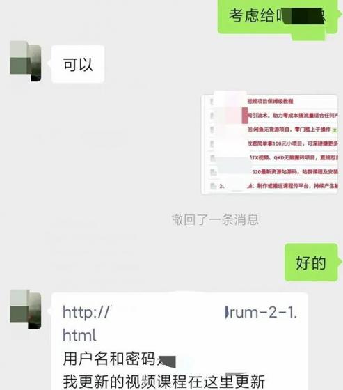 小彬网虚拟资源网站培训课程，如何一个月快速做出盈利的资源网站(实打实经验)