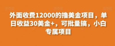 外面收费12000的撸美金项目,单日收益30美金+,可批量搞,小白专属项目