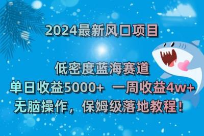 (8545期)2024最新风口项目 低密度蓝海赛道，日收益5000+周收益4w+ 无脑操作，保...