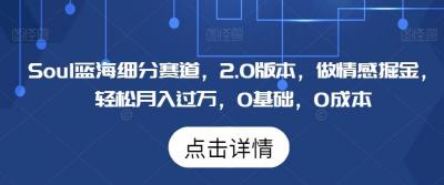 Soul蓝海细分赛道，2.0版本，做情感掘金，轻松月入过万，0基础，0成本