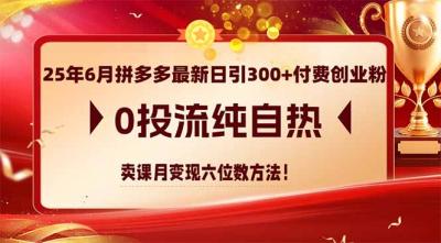 25年6月拼多多最新日引300+付费创业粉，0投流纯自热 卖课月变现六位数方法