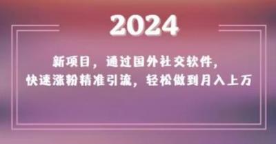 2024新项目,通过国外社交软件,快速涨粉精准引流,轻松做到月入上万【揭秘】
