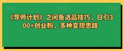 《导师计划》之闲鱼选品技巧，日引300+创业粉，多种变现思路