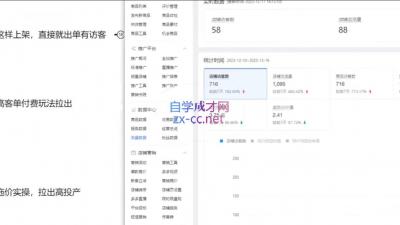 恒哥·2024拼多多日销0-100单实操