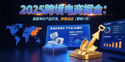 2025跨境电商掘金：蓝海市场定位，高客单价产品开发，数据选品(更新7月