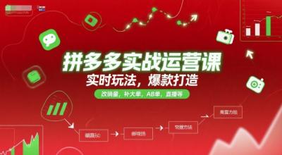 拼多多实战运营课，实时玩法，爆款打造，改销量，补大单，AB单，直播等(更新2025月)