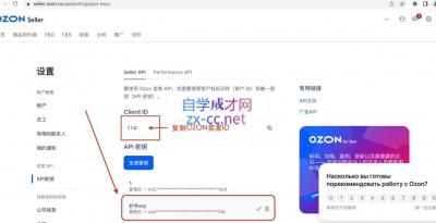 森哥·出海俄罗斯电商实操(2024)