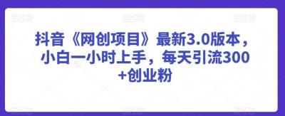 抖音《网创项目》最新3.0版本,小白一小时上手,每天引流300+创业粉【揭秘】