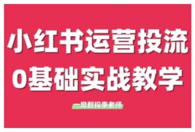 小红书运营投流,小红书广告投放从0到1的实战课,学完即可开始投放(更新)