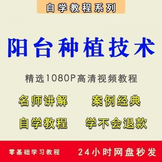 零食品带货短视频教程+建筑施工动画视频教程+篮球系统训练课程+拉丁舞教程视频+电子琴学习视频教程
