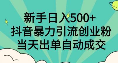 新手日入500+,抖音暴力引流创业粉,当天出单自动成交