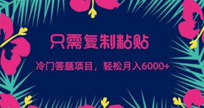 只需复制粘贴,冷门答题项目,轻松月入6000