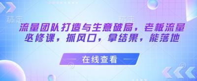 流量团队打造与生意破局,老板流量必修课,抓风口,拿结果,能落地