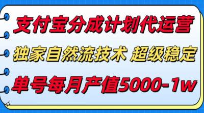 支付宝分成计划代运营，独家自然流技术，收益稳定，单号月产5000＋