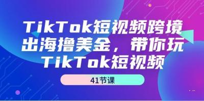 TikTok短视频跨境出海撸美金，带你玩TikTok短视频(41节课)