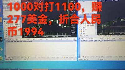 稳定8年的美刀搬砖项目，单人每日收益800—3000.团队4人月入10W+.可线下