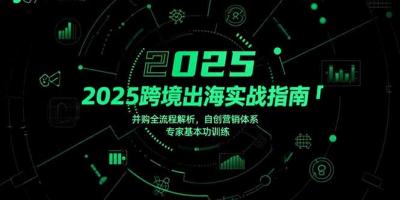 2025跨境出海实战指南，并购全流程解析，自创营销体系，专家基本功训练