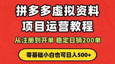 拼多多开店运营课程: 蓝海变现玩法,轻松实现睡后收入 零基础小白也可...