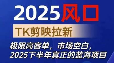 2025风口TK剪映capcut拉新项目,极限高客单,市场空白,2025下半年真正的蓝海项目