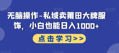 无脑操作-私域卖莆田大牌服饰，小白也能日入1000+
