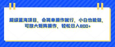 超级蓝海项目，会简单操作就行，小白也能做，可放大矩阵操作，轻松日入800+，