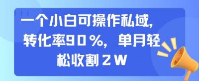 一个小白可操作私域，转化率90%，单月轻松收割2W