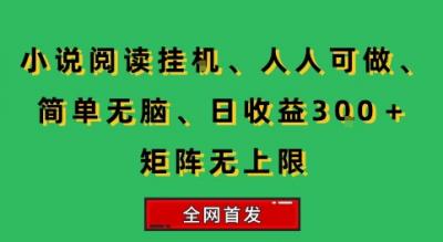 小说挂G阅读，人人可做，简单无脑，一天收益3张+矩阵无限上，全网首发【揭秘】