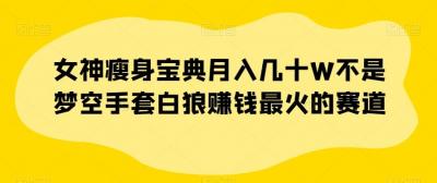 女神瘦身宝典月入几十W不是梦空手套白狼赚钱最火的赛道【揭秘】