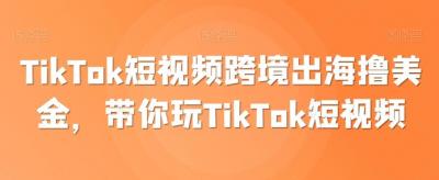 TikTok短视频跨境出海撸美金,带你玩TikTok短视频