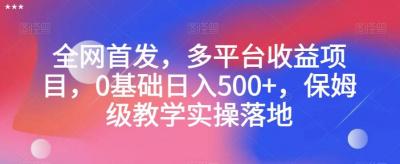 全网首发,多平台收益项目,0基础日入500+,保姆级教学实操落地【揭秘】