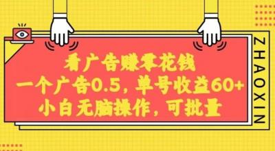 无脑看广告获取收益，一条广告0.5，日稳定60-100+，可批量放大，超级稳定
