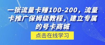 一张流量卡赚100-200，流量卡推广保姆级教程，建立专属的号卡商城