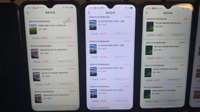 (8611期)首发 磁力拼多多自撸  日入500+