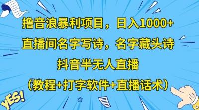 撸音浪暴利项目,日入1000+,直播间名字写诗,名字藏头诗,抖音半无人直播(教程+打字软件+直播话术)【揭秘】