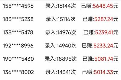 信息录入，几秒一单，只需一部手机，小白轻松上手，日入500＋