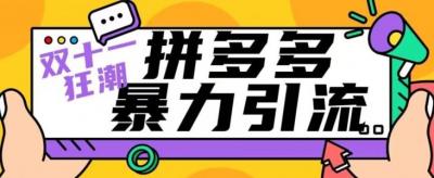 【首发】双十一拼多多暴力引流，日引300+微信