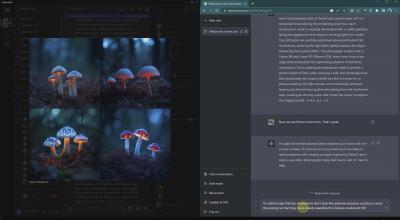 (8717期)摄影师 Daniel Laan 使用ChatGPT与Midjourney生成风光图像-中英字幕