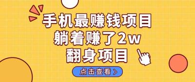 暴利项目，手机一键代发视频被动收入1000+，零成本做老板长期管道收益！