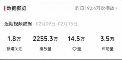 视频号最新100%原创玩法,收益稳定,单日收益1000+,小白专属