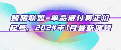 臻曦联盟-单品微付费正价起号,2024年1月最新课程