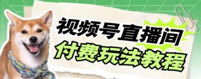 视频号美女付费无人直播，轻松日入500+【详细玩法教程】