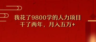 我花了9800学习,干了两年赚了70万的人力项目