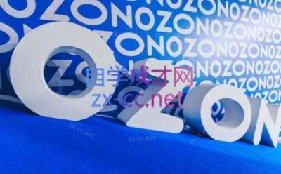 森哥·出海俄罗斯电商实操(2024)