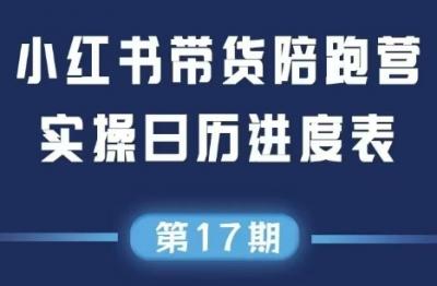 盗坤·抖音小红书视频号短视频带货与直播变现(11-17期)