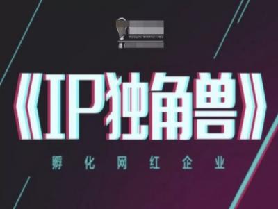 IP独角兽,孵化网红企业,ip教程