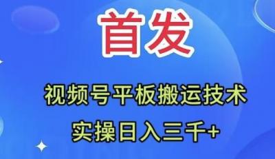全网首发:视频号平板搬运技术,实操日入三千+
